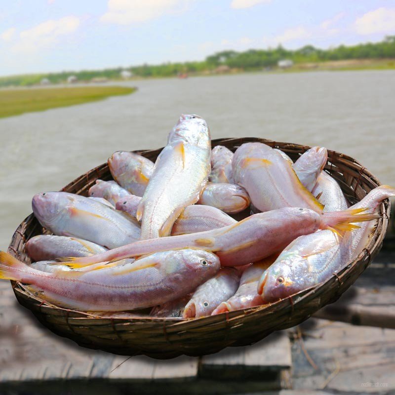 নদীর পোয়া মাছ