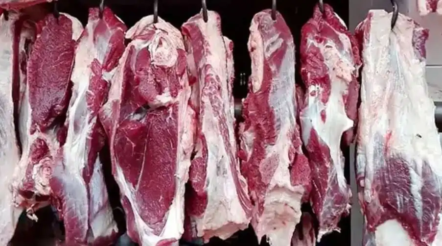 গরুর মাংস